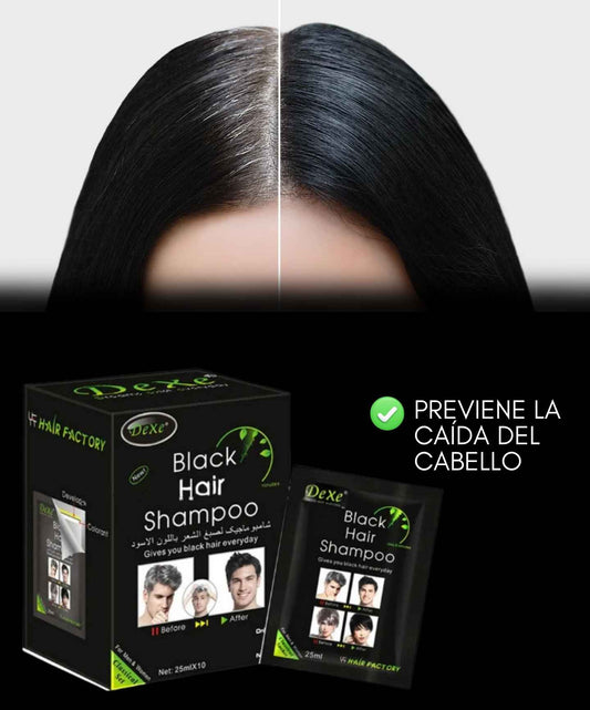 SHAMPOO ESCURECEDOR DE CABELLO 10 UND DE 10mL