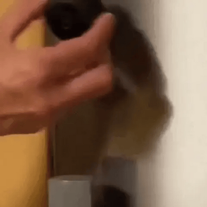 Mini Cámara Espía HD™